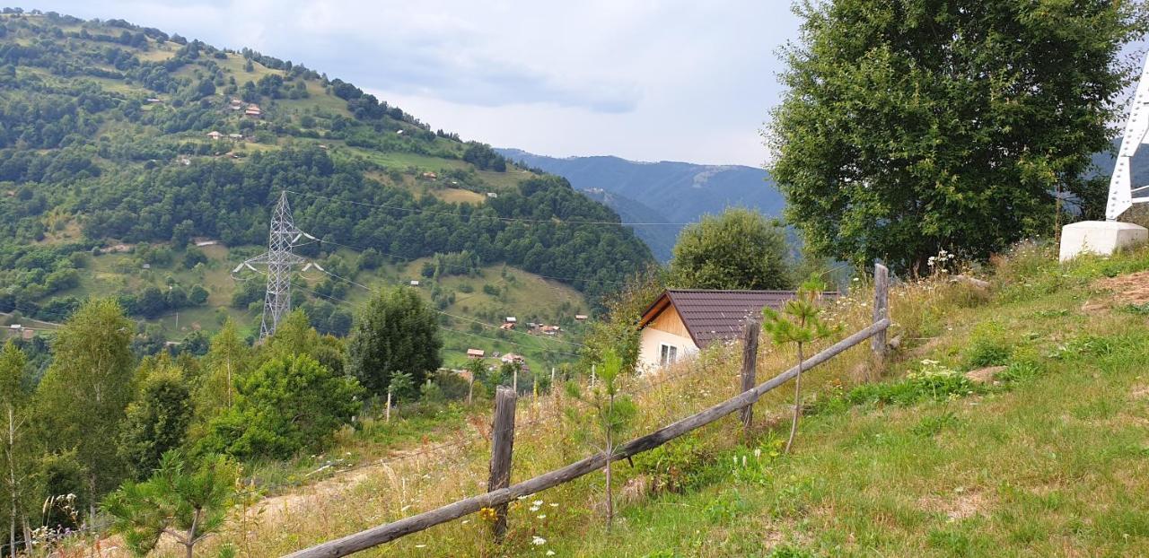 Pensiunea Petru Şugag Exterior foto