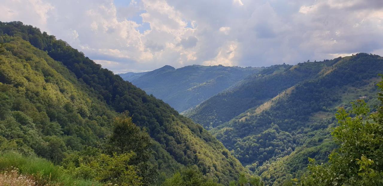 Pensiunea Petru Şugag Exterior foto