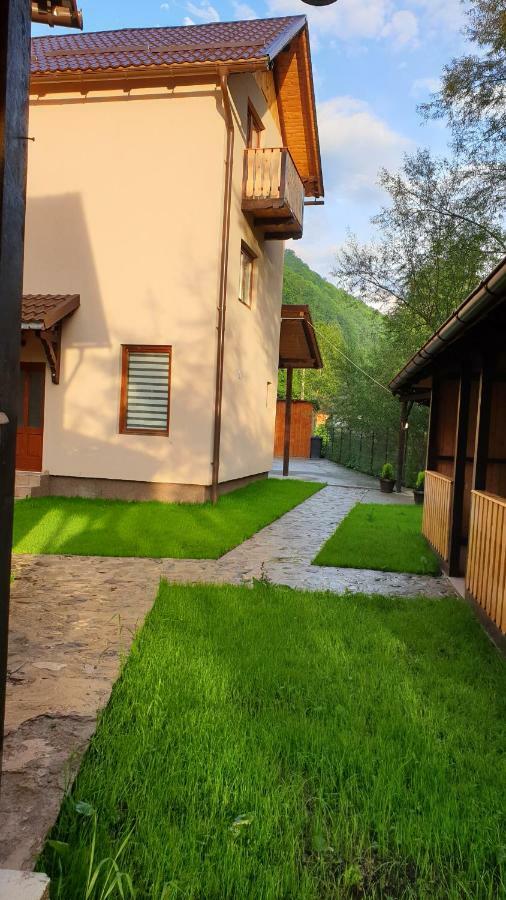 Pensiunea Petru Şugag Exterior foto